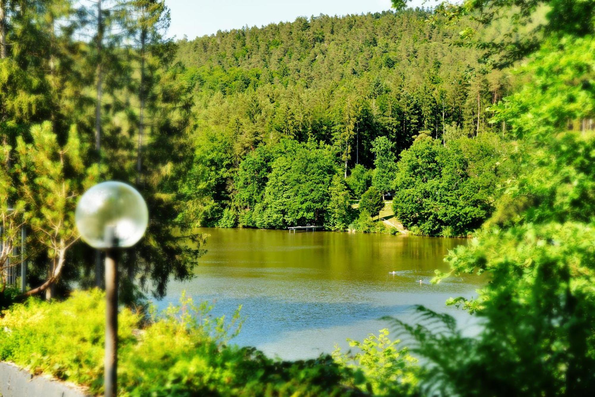 Thurmansbang Das Dreiburgensee Naturhotel & Spa מראה חיצוני תמונה